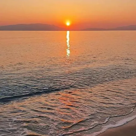 The Candy House Ofrínion