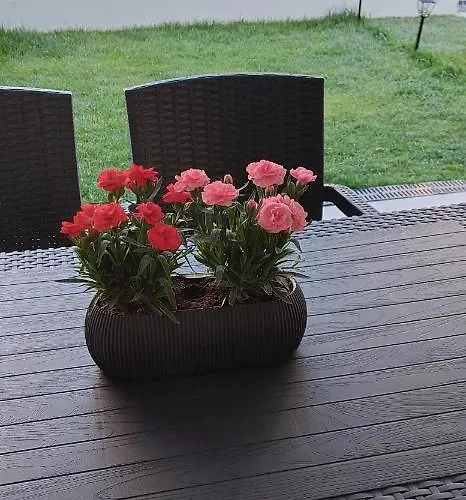 公寓 The Candy House